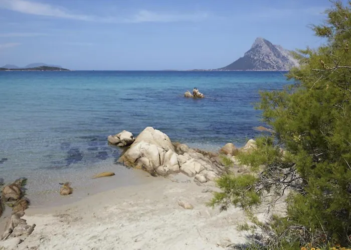 Lägenhet Mare Sardegna Porto San Paolo Porto San Paolo (Sardinia)